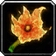 Burning Blossom