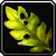Stranglekelp