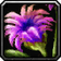 Lei of the Lifegiver