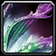 Purple Lotus