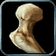 Brittle Dragon Bone