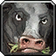 Polymorph: Cow