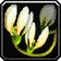 Balnir Snapdragons