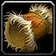 Featherbead Bracers