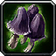 Hyacinth Mushroom