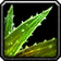 Sprouted Frond
