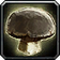 Forest Mushroom Cap