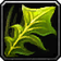 Silverleaf