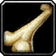 Large Bear Bone