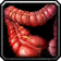 Boar Intestines