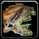 Medium Hide
