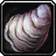 Small Barnacled Clam