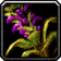 Serpentbloom