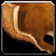 Aged Kodo Hide
