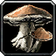 Lunar Fungus