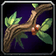 Apprentice Herbalist