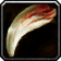 Discolored Fang