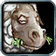 Polymorph